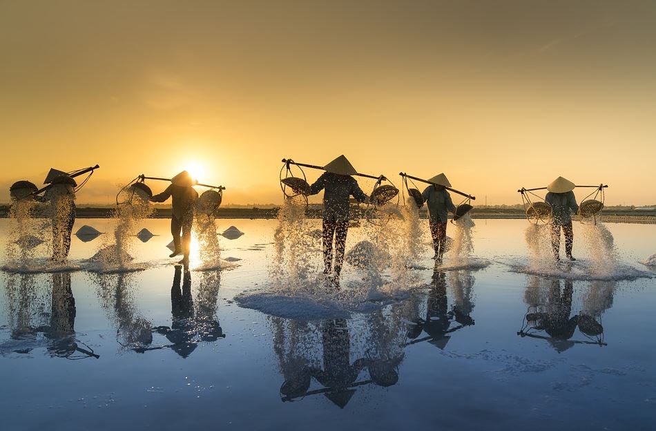 Vietnam rizières accord libre échange